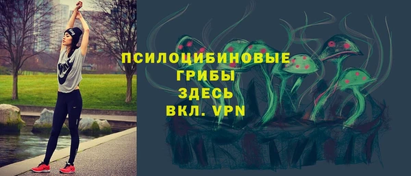 синтетический гашиш Елизово